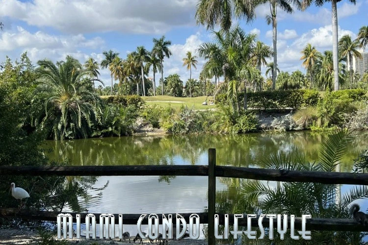 Aventura Aventura Downtown