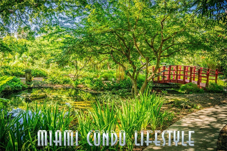 South Beach South Beach Japanese Garden