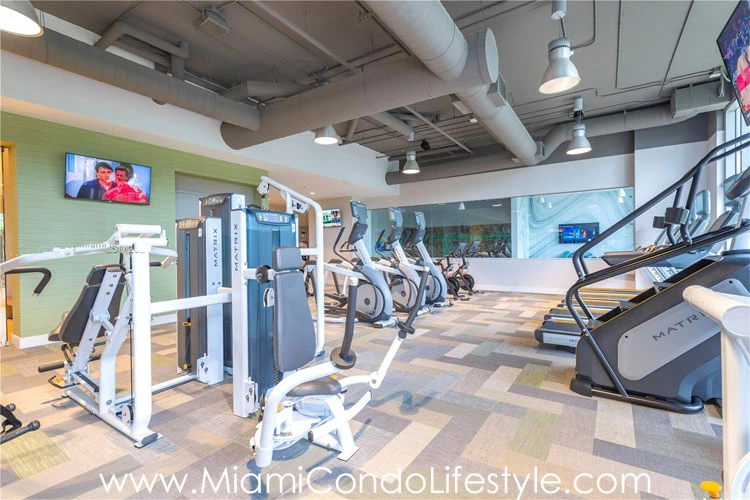 The Harbour Gimnasio