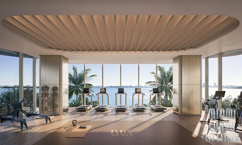 Lilli Miami Lilli Miami Gym