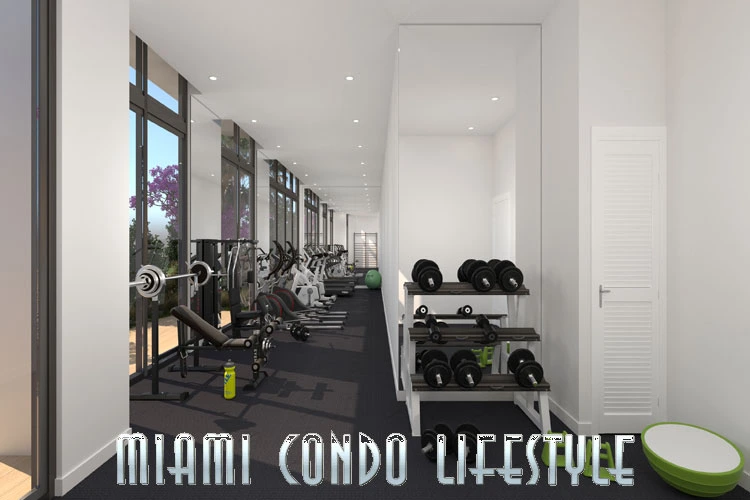 Roble One Coconut Grove Gimnasio