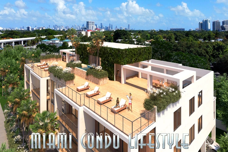 Roble One Coconut Grove Azotea